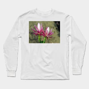 Cacti - Magpie Springs - Adelaide Hills Wine Region - Fleurieu Peninsula - South Australia Long Sleeve T-Shirt